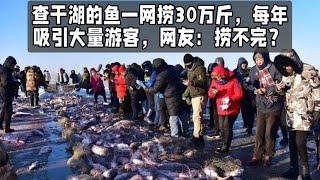 查干湖的鱼一网捞30万斤，每年吸引大量游客，网友：捞不完？