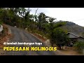 BEGINILAH SUASANA PEDESAAN DI LEMBAH BENDUNGAN TUGU TRENGGALEK.