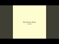 Star Dream Silver