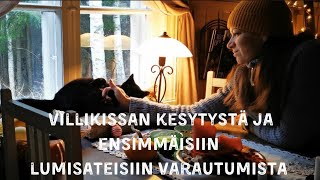 Villikissan kesytystä ja ensimmäisiin lumisateisiin varautumista