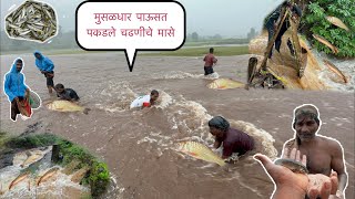 तलावात पकडले चढणीचे मासे ! कोकणात आला मुसळधार पाऊस #chadnichemase