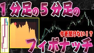 今更聞けない！？1分足と5分足のフィボナッチ【極めよ！ライントレード！バイナリーオプション】