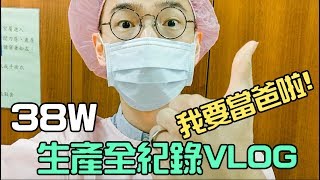 千呼萬喚始出來，懷孕38週就等這一天！生產過程全紀錄VLOG｜Curtiss Ho