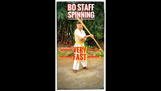 Bo staff #bostaff #martialarts #youtube #shorts #viral #trending