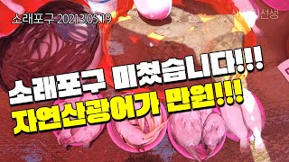 소래포구 자연산 광어 1kg 만원, 도매가 보다 더 쌉니다!!! 이 영상 보시면 무조건 가세요!!