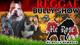 Reggae Bully Fest 2025: Big Vibes \u0026 Bigger Bullies!