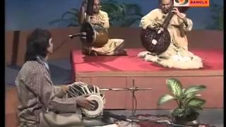 ||| Raga Darbari by Rudra Veena exponent Ustad Asad Ali Khan |||