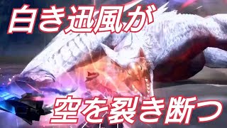 【MHF-Z】極み駆けるナルガクルガ　4ラスタ　マグネットスパイク　ソロ