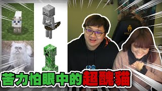 麥塊梗圖挑戰！少女把頭壓進地板裡？苦力怕眼中的貓超醜！｜Minecraft梗圖系列【黑羽 江小M】