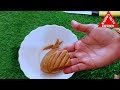 এভাবে বাড়িতে বানান গমের আটার খাস্তা বিস্কুট bakery style biscuit recipe atta biscuit recipe