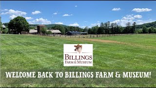 Welcome Back to Billings Farm \u0026 Museum