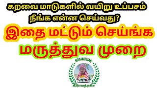 கறவை மாடுகளில் வயிறு உப்பசம் நீங்க என்ன செய்வது? | Cow Stomach issues | Gramathan | Lovefriendssathz