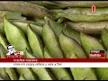 স্বস্তি নেই নিত্য পণ্যের দামে market price