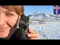 Scientists convert carbon dioxide into rock in breakthrough climate change experiment - TomoNews