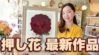 押し花新作10点紹介 結婚式ブーケプロポーズ花束保存加工専門店 グリーンルームアトリエ由花 愛知名古屋駅 岐阜 三重 全国対応可 Pressedflower Japan