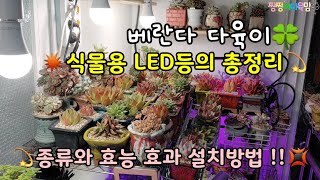 다육이 식물용 LED등 총정리💥종류와 설치 효능 효과 💫꿀팁! 🌸겨울나기 대비