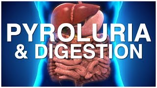 Health Matters: Pyroluria and Digestion