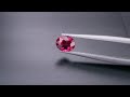 gemsthailand 1.08 carat certified no treatment pigeon blood red mogok ruby