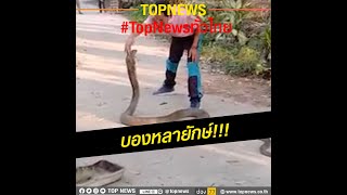 นาทีระทึก! หนุ่มกู้ภัยจับงูจงอางยักษ์ ด้วยมือเปล่า ชี้ไม่ควรเลียนแบบ | TopNewsทั่วไทย | TOP NEWS