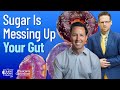 How Sugar Sours the Gut and Messes With Microbiome | Dr. Will Bulsiewicz | The Exam Room LIVE