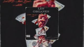 Lord JRD  x Noble  Djarel x x-satellite [ LES ORGANES ]