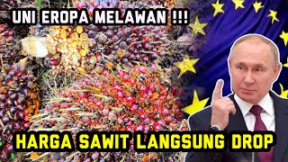 Eropa lakukan perlawanan terhadap sawit indonesia-malaysia || Harga sawit mulai drop