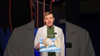 полезные факты о продуктах. Есть что добавить? 🧐 #питание #здоровье #медицина