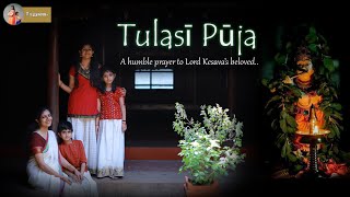 Tulasi Puja | Priya Venugopal #ദച്ചൂമമ്മേം