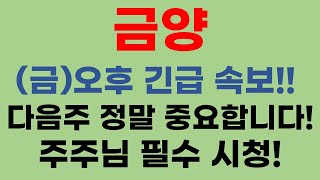 [금양 주가전망] 7일(금요일) 오후 정말 중요한 이슈! 반드시 확인! 주주님 필수 시청!