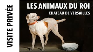 [Visite privée] Exposition Les Animaux du Roi au château de Versailles