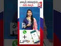 వాట్సప్ యూజర్లుకు గుడ్ న్యూస్ govt good news to whatsapp users pallavi tv