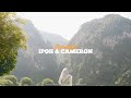 Trip to Ipoh & Cameron Highland | Cinematic Video 4K