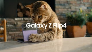 Meet Galaxy Z Flip4 | Samsung