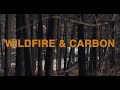 Wildfire and Carbon