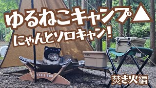 焚き火見ながら寝ちゃう猫！  可愛すぎる猫と癒しのソロキャンプ(後編)  ～天川村 泉の森オートキャンプ場～