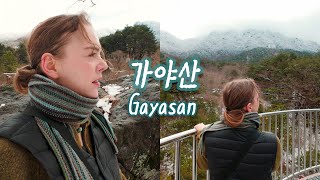 한국의 대자연을 느끼러 가야산에 갔다💙🌿성주 가야산생태탐방원 숙박, 합천 해인사 사찰 경상도 여행