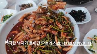 목포 식당 소개 7편 - 허영만 백반기행 출연 수제 막걸리 식초를 사용한 부들부들한 낙지초무침이 맛있는 무안먹거리( 목포에 있음 )