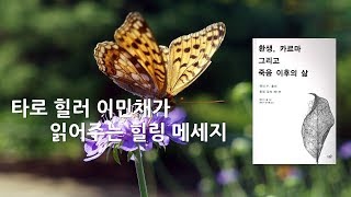 타로힐러 이민채가 읽어주는 힐링 메세지 (환생, 카르마 그리고 죽음 이후의 삶)