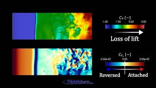 Transonic buffet cycle : Pressure and Skin friction over suction side