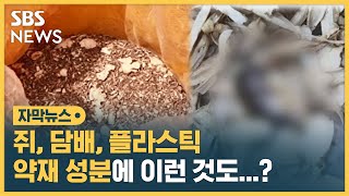 쥐, 담배, 플라스틱…약재 성분에 이런 것도? (자막뉴스) / SBS