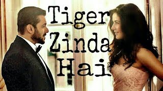Tiger Zinda Hai romantic love song (salman & katrina)