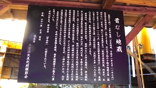 岡山県津山市の出川哲朗の充電させてくださいで出た樹木がある神社周辺を歩く