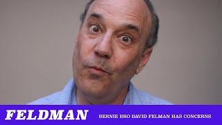 Bernie Bro David Feldman Has Some Concerns (TMBS 124)
