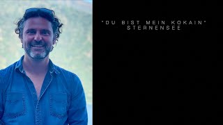 Sternensee - Du bist mein Kokain (Lyrik Video)