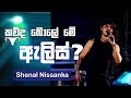 Gypsies - Alis (කව්ද බොලේ මේ ඇලිස්) | Shenal Live at The Gypsies Concert | @TheGypsiesLK