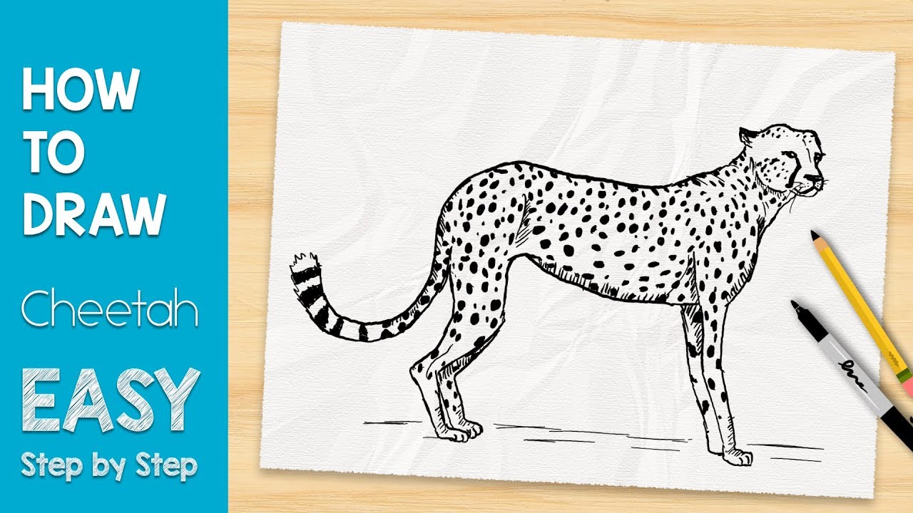 How To Draw A Cheetah In 5 MINUTES (Easy, Step By Step) - YouTube