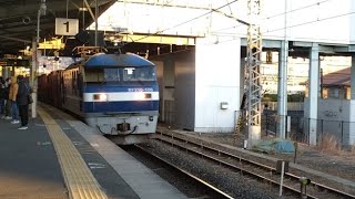 JR貨物 EF210-106号機 桃太郎 更新機 下枠交差パンタ 貨物列車 膳所駅通過 20250129