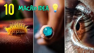 10 MACRO PHOTOGRAPHY IDEAS | SKYVIK SIGNI MACRO PHOTOGRAPHY