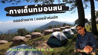 ดอยอ่างขาง กางเต็นท์ม่อนสน อำเภอฝาง จังหวัดเชียงใหม่ | Road Trip 3 คืน 4 วัน l EP 2