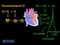 la physiopathologie de l insuffisance cardiaque